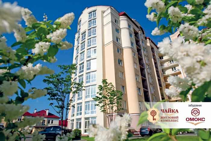 chayka2